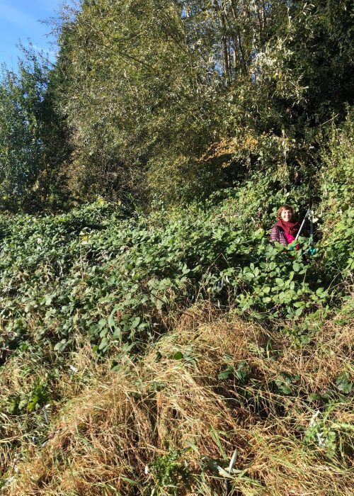 received_611195140189085 Avant / après